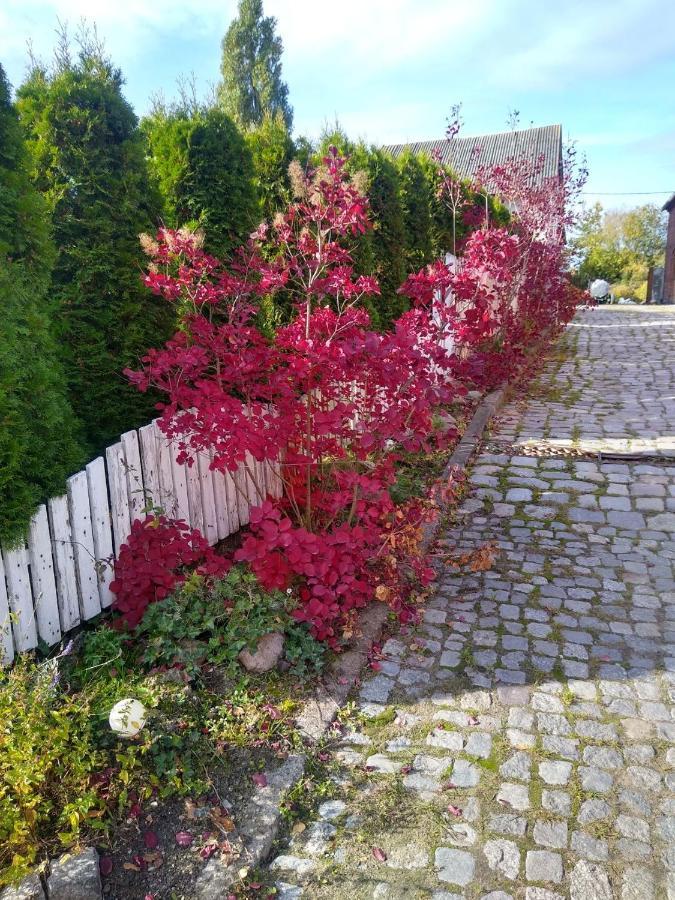Zajazd Eljan-Centrum Noclegowe Olsztyn  Esterno foto
